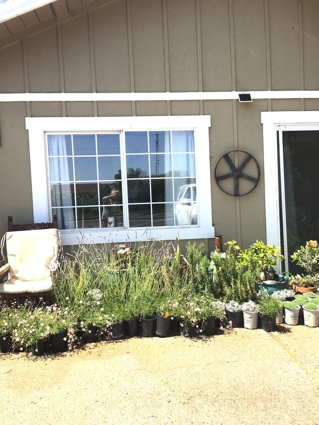 Primary Photo - 1117 Bel Marin Keys Blvd