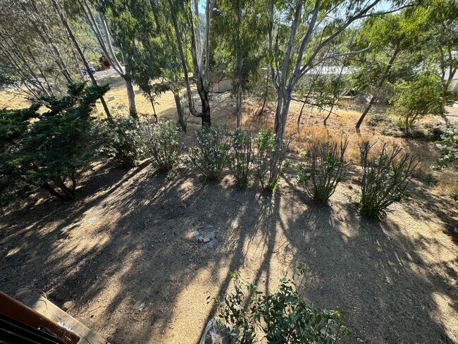 Building Photo - Enjoy Living at Lake Nacimiento