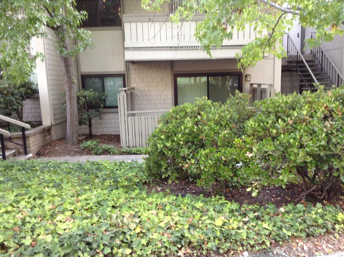 1493 Marchbanks Dr, Walnut Creek, CA 94598 Condo for Rent in Walnut