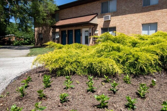 Building Photo - 8019 Hafner Ct