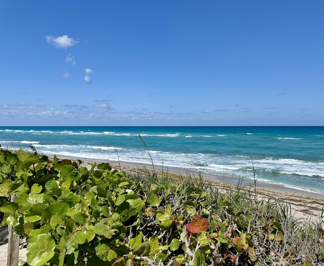 Foto del edificio - 5480 N Ocean Dr