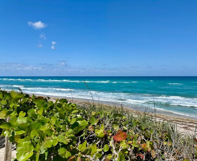 Building Photo - 5480 N Ocean Dr