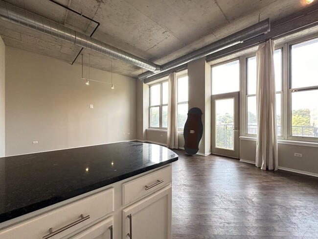 Building Photo - 1 bedroom in Chicago IL 60607