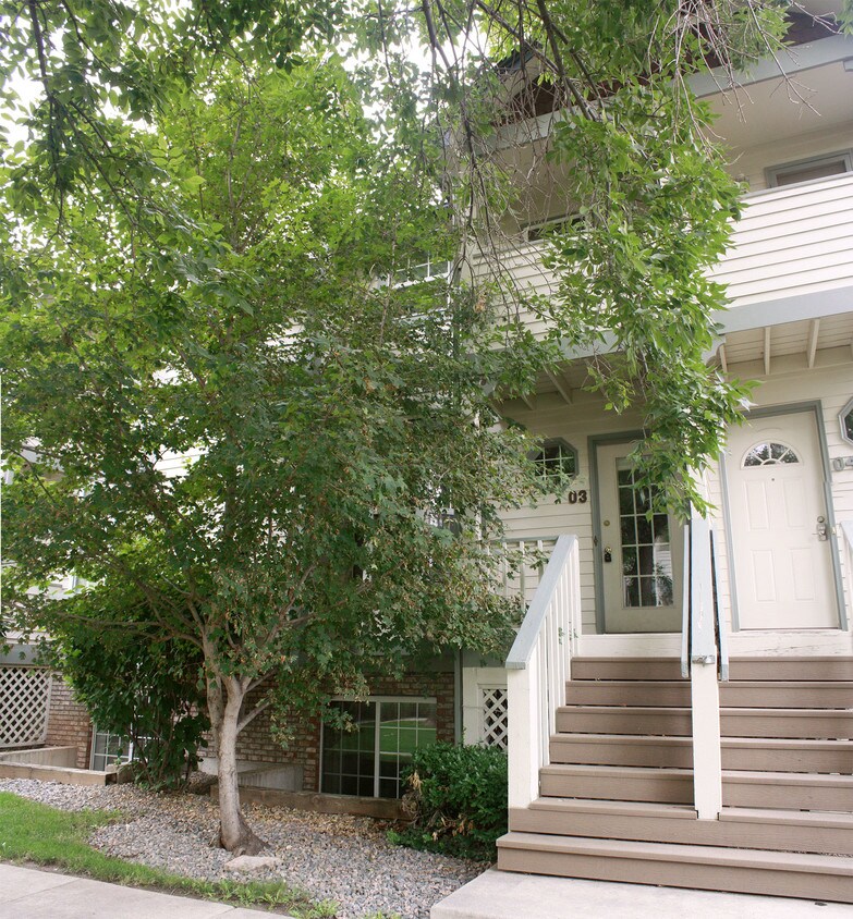 Front - 2828 Silverplume Dr