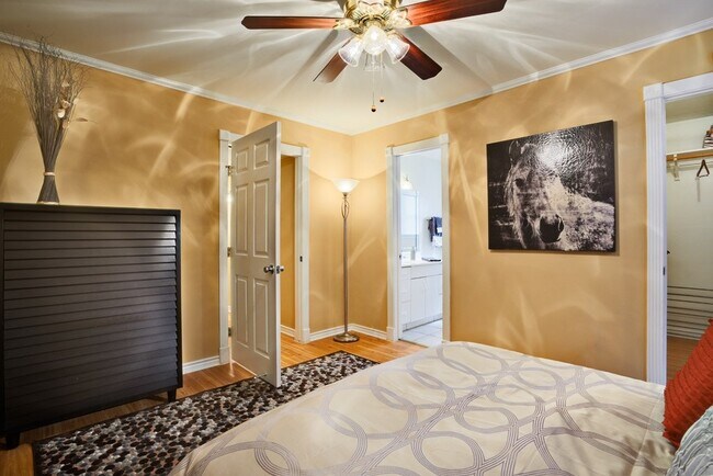 Building Photo - 3605 Steck Ave