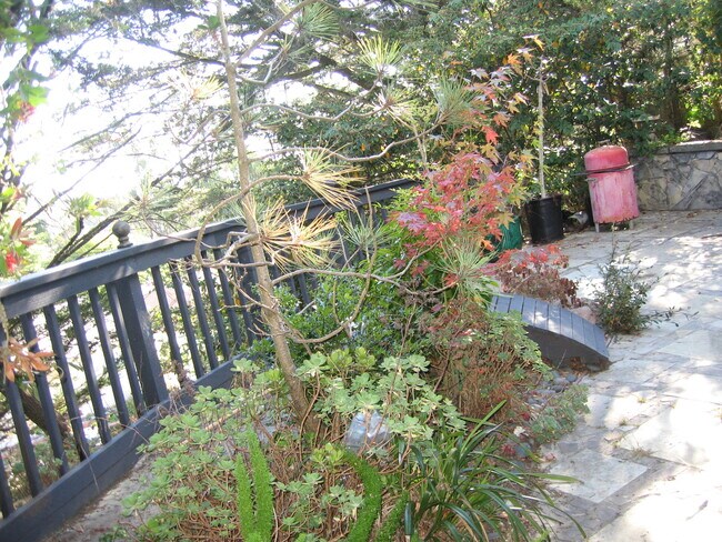 Patio trasero tranquilo y aislado - 409 Dellbrook Ave