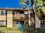 Primary Photo - 1 br, 1 bath House - 10278 Black Mountain ...
