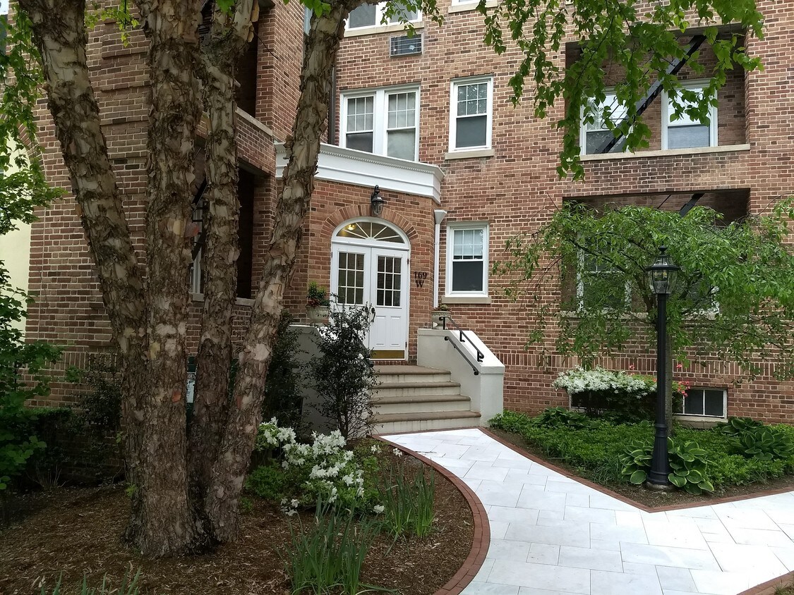 169 Mason St, Greenwich, CT 06830 Condo for Rent in Greenwich, CT