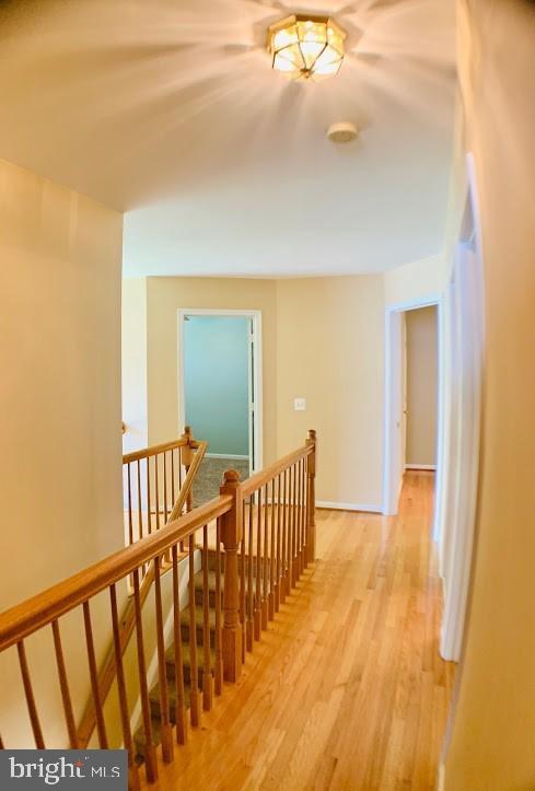 Foto del edificio - 21 Warwick Way