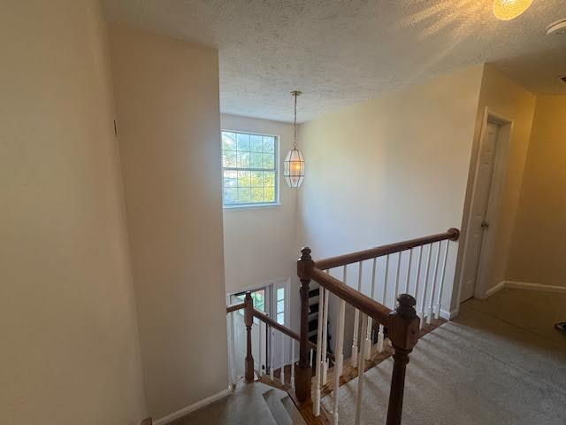 Building Photo - Spacious 4-Bedroom with 3 Full Baths & Fully Finished Basement. Available Now!