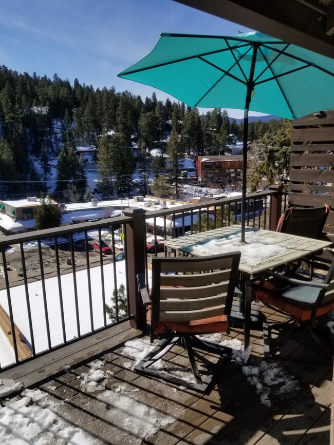 28110 Douglas Park Rd, Evergreen, CO 80439 House Rental in Evergreen