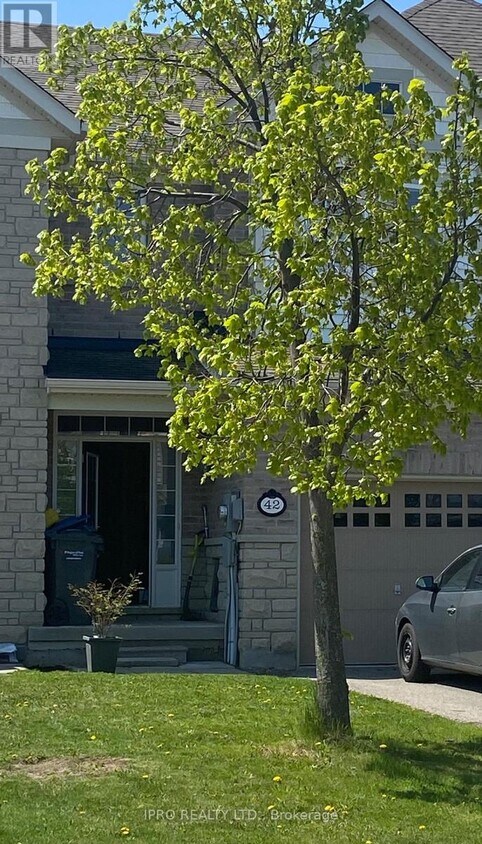 Primary Photo - 42 Icefall Rd