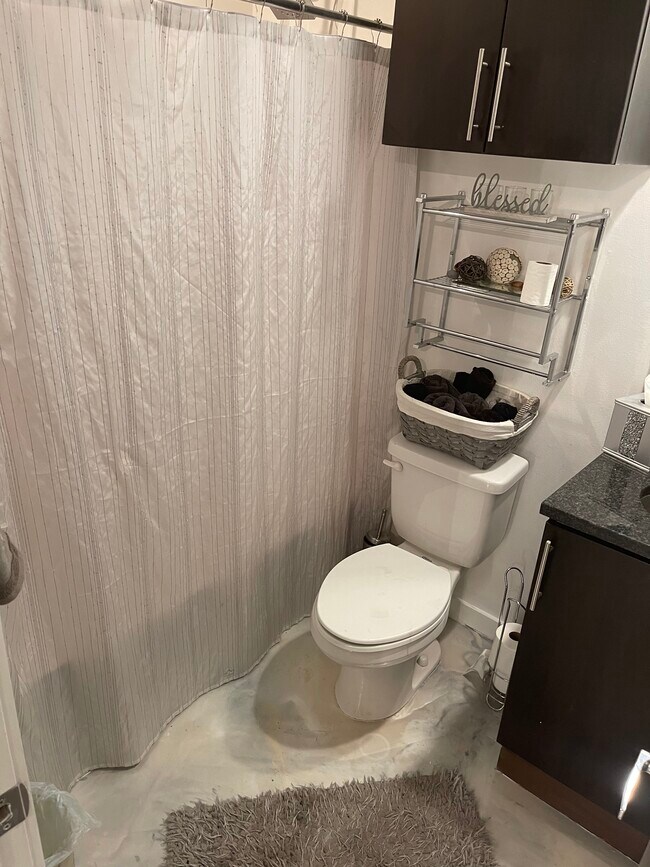 Baño completo - 1974 Pin Oak Ave