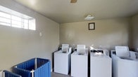 This single-floor laundry facility is a functional and practical space designed to accommodate multiple users at once. The room houses a row of top-loading washing machines lined along the wall, providing ample capacity for laundry needs. The neutral-toned walls and light-colored ceiling create a clean, straightforward environment. A ceiling fan is installed overhead, promoting air circulation throughout the space, while a flush-mount ceiling light ensures adequate illumination. A small window on the side wall allows natural light to enter, adding brightness to the room. A blue laundry cart is positioned near the entrance, offering a convenient solution for transporting clothes. A framed notice is mounted on the wall, likely containing usage guidelines or facility rules. The carpeted flooring adds a degree of comfort underfoot. Overall, this laundry room is a well-equipped, utilitarian space that prioritizes functionality, making it a practical amenity for residents or occupants of the property.