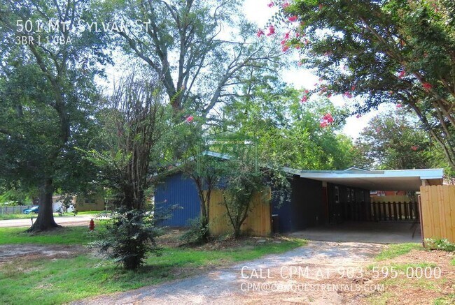 Foto del edificio - 501 Mt Sylvan St