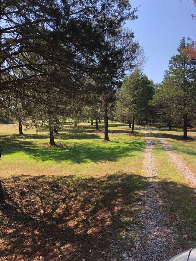 Building Photo - 125 Bluebird Glen