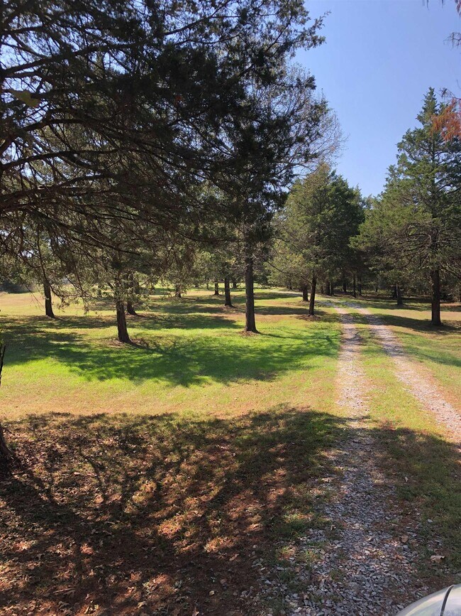 Foto del edificio - 125 Bluebird Glen