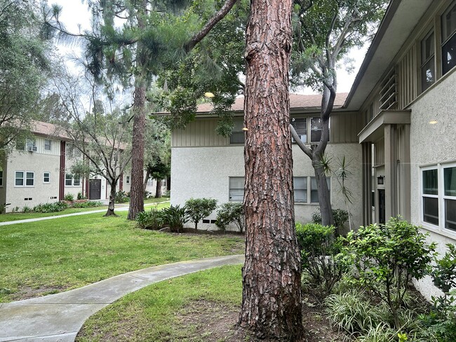 Foto del edificio - 5811 Bowcroft St