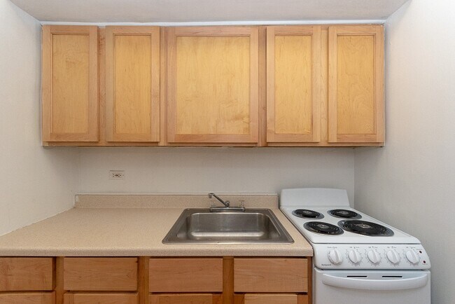 Foto del edificio - 539 W Arlington Pl