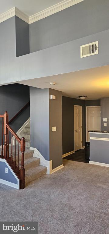 Foto del edificio - 923 Pine Forest Ln