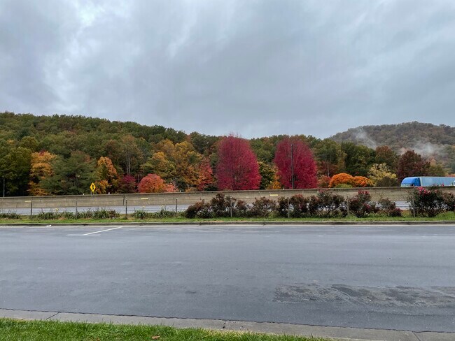 Beautiful lake Junaluska - 60 Mayfair Dr