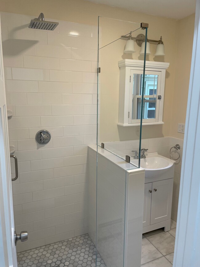 Brand New Bathroom - 14 Abbott St
