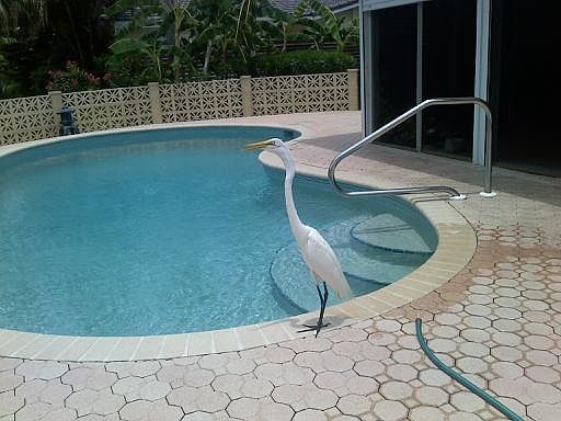 Foto del edificio - 537 Halyard Ln