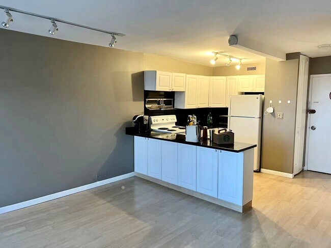 Photo - 1460 N Sandburg Terrace Townhome