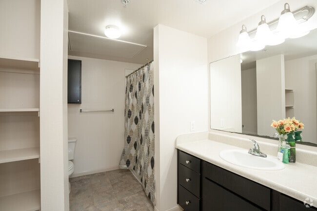1 habitación, 1 baño - 842 pies cuadrados - Baño - Paseo Pointe