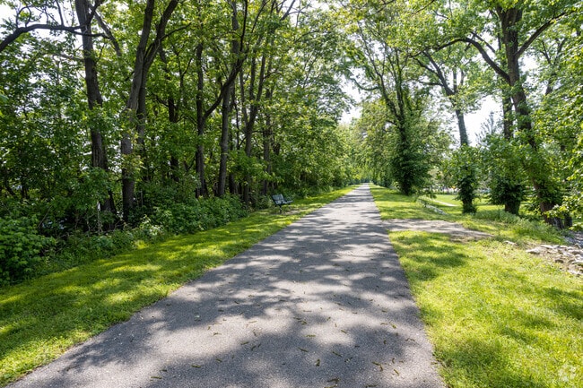 Colgate Park has many trails where you can get your steps in.