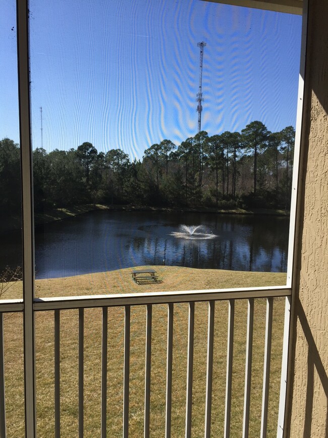 View from back porch - 440 S Villa San Marco Dr