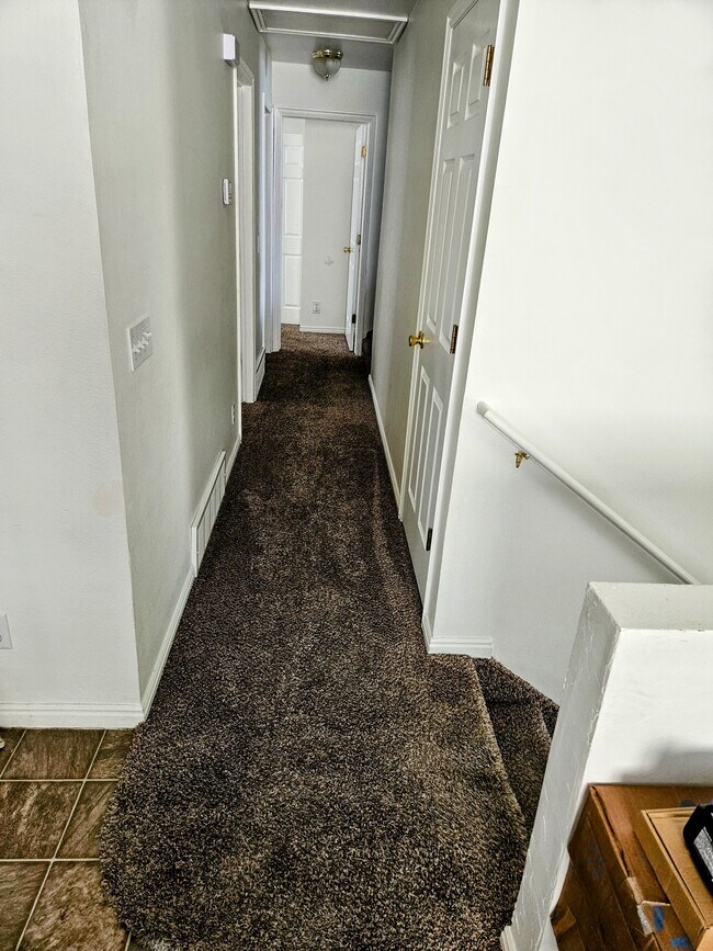 Carpeted corridor upstairs. - 241 Sunstone Cir