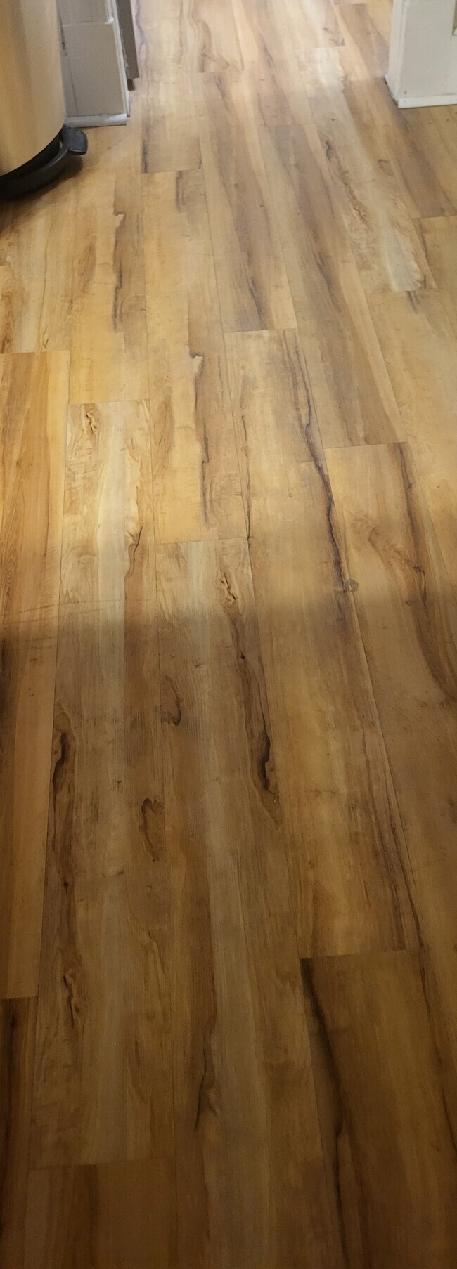 waterproof floor - 267 Kelley St