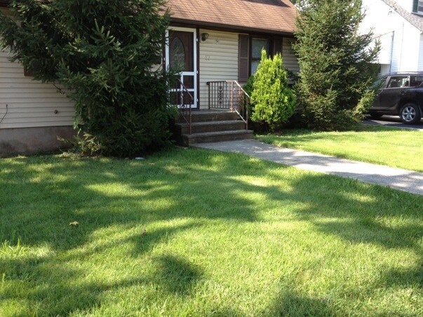 Primary Photo - 17 Wright St