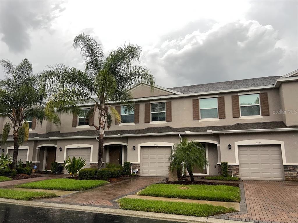 3903 Silverlake Way, Wesley Chapel, FL 33544 Townhouse for Rent in