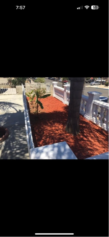 Foto del edificio - 3115 Clay Ave