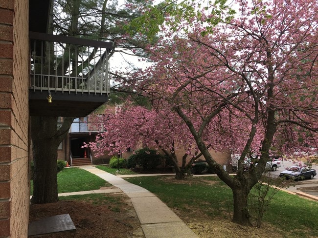 Building Photo - KNOLLWOOD GARDENS/ NO PETS ALLOWED