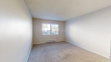 Interior Photo - Birch Creek