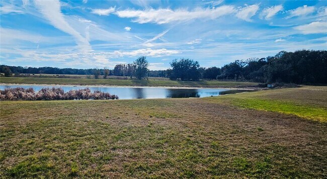 Foto del edificio - 3112 Forrest Plum Ct