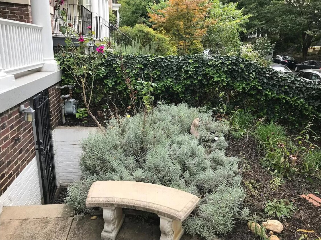 1847 Lamont St NW Unit B, Washington, DC 20010 Apartments in