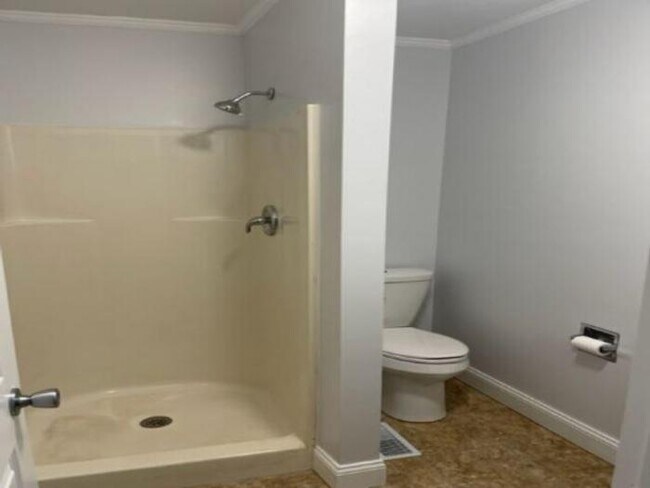 Building Photo - 3 bedroom in CHATHAM IL 62629