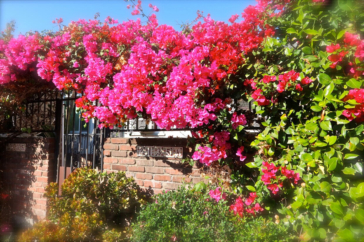 2135 N Gower St Unit 2, Los Angeles, CA 90068 Apartments in Los Angeles, CA