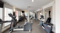 This fitness center offers a comprehensive workout environment designed to accommodate a wide range of exercise routines. The space features durable speckled rubber flooring throughout, providing both safety and comfort during workouts. Large windows line the walls, flooding the interior with natural light and offering views of the surrounding greenery, creating an inviting and energizing atmosphere.

The cardio section is equipped with multiple treadmills and elliptical machines, positioned to take advantage of the natural light from the windows. A recumbent bike and additional stationary cycling equipment provide low-impact workout options. For strength training, the facility includes a multi-functional cable machine, a Hoist adjustable weight bench, and a well-stocked dumbbell rack with a full set of free weights. Exercise and medicine balls on a dedicated rack round out the functional fitness offerings.

Floor-to-ceiling mirrors span a significant portion of the walls, visually expanding the space and allowing users to monitor their form during exercise. Recessed and wall-mounted lighting supplements the natural light, ensuring the space remains bright throughout the day. A mounted television is available for entertainment. Glass-paneled doors connect the fitness center to an adjacent common area, contributing to an open, airy feel throughout the space.