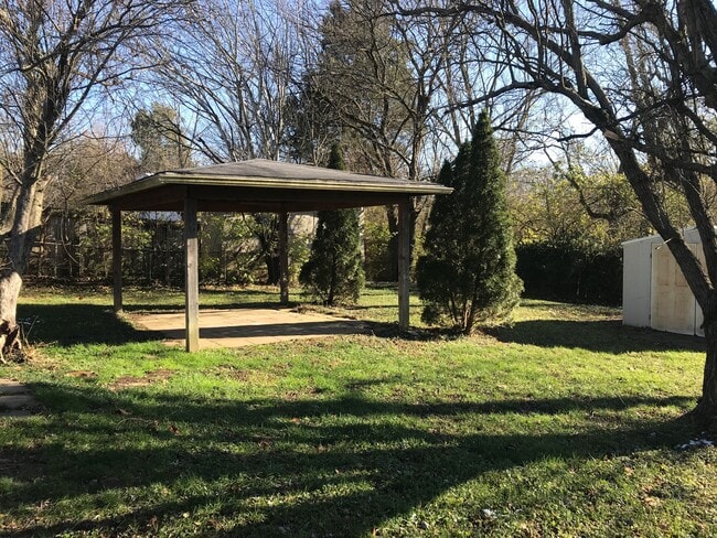 Backyard - 9608 Cedar Lake Dr