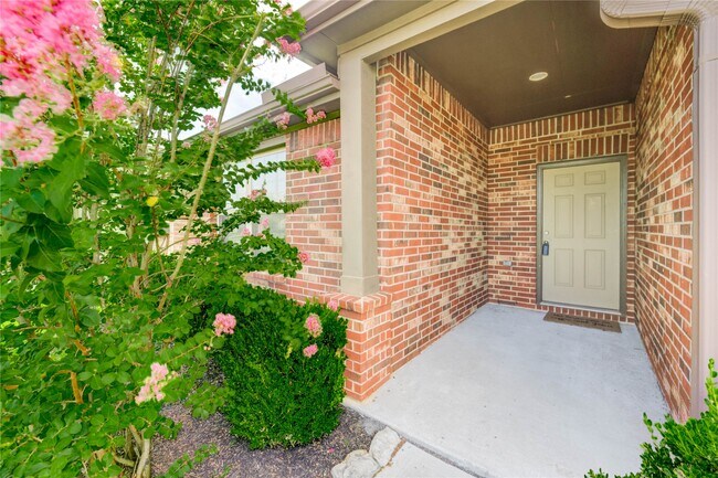 Foto del edificio - 3027 Dripping Springs Ct