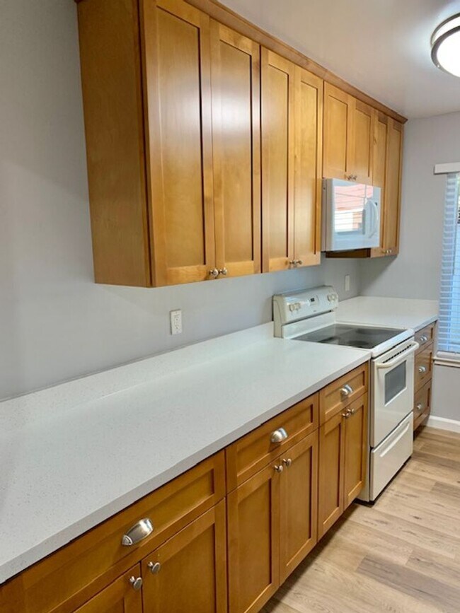 Building Photo - 1 Bed 1 Bath Condo in Concord - AVAILABLE ...