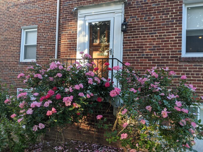 Foto del edificio - 1210 Crittenden St NE