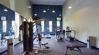 This fitness center is thoughtfully designed to accommodate a full range of workout activities within a single, open-plan space. The room features notably high ceilings, which contribute to an open and airy atmosphere, while a bold navy blue accent wall adds a modern, energizing aesthetic contrast to the softer sage green walls. Pendant-style lights hang from the ceiling alongside a ceiling fan, providing ample illumination and airflow throughout the space. Natural light filters in through multiple windows along the walls, brightening the environment and creating an inviting workout setting. The flooring is covered in durable, dark carpet suitable for fitness use. Equipment is well-distributed throughout the room and includes a multi-station cable and weight machine, multiple treadmills, elliptical trainers, and stationary cardio equipment. A large mirror along one wall expands the sense of space and assists with form during exercise. Mounted flat-screen televisions are positioned for easy viewing from cardio machines, enhancing the overall workout experience. The layout is practical and spacious, allowing users to move freely between strength and cardio zones without congestion.