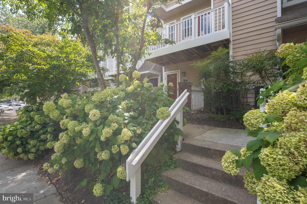Foto principal - 5705 Chapman Mill Dr
