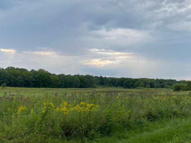 Building Photo - 3318 Berwyn Ave